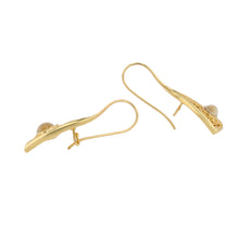 The 'Golden Eye' Moonstone Drop Earrings