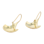 Fan Dangle Earrings